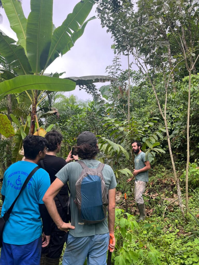 In the foreground, three men stand with their backs to the camera in a green tropical forest. In front of them, a bearded man in knee-high boots speaks. There are trees and plants of many sizes, including the large leaves of a banana plant. The sky is overcast.