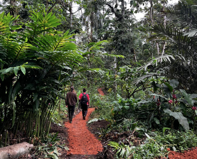 The Struggle for Ecological Conservation in the Ecuadorian Chocó Andino