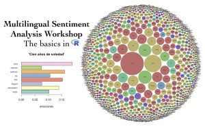 Promotional poster of Multilingual Sentiment Analysis Workshop