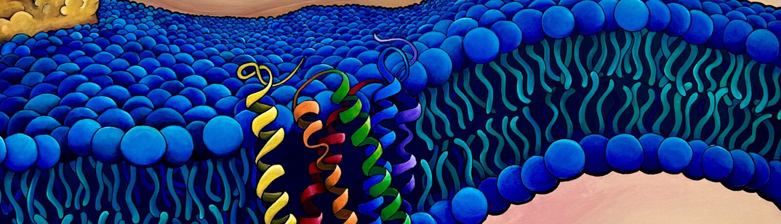 Welcome to the Marty Lab