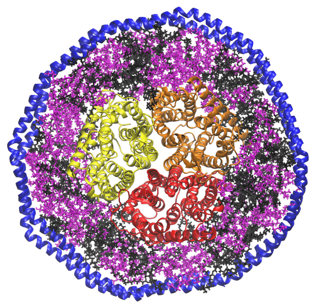 Nanodisc with membrane protein inside
