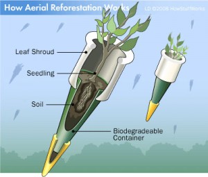 aerial-reforestation-3