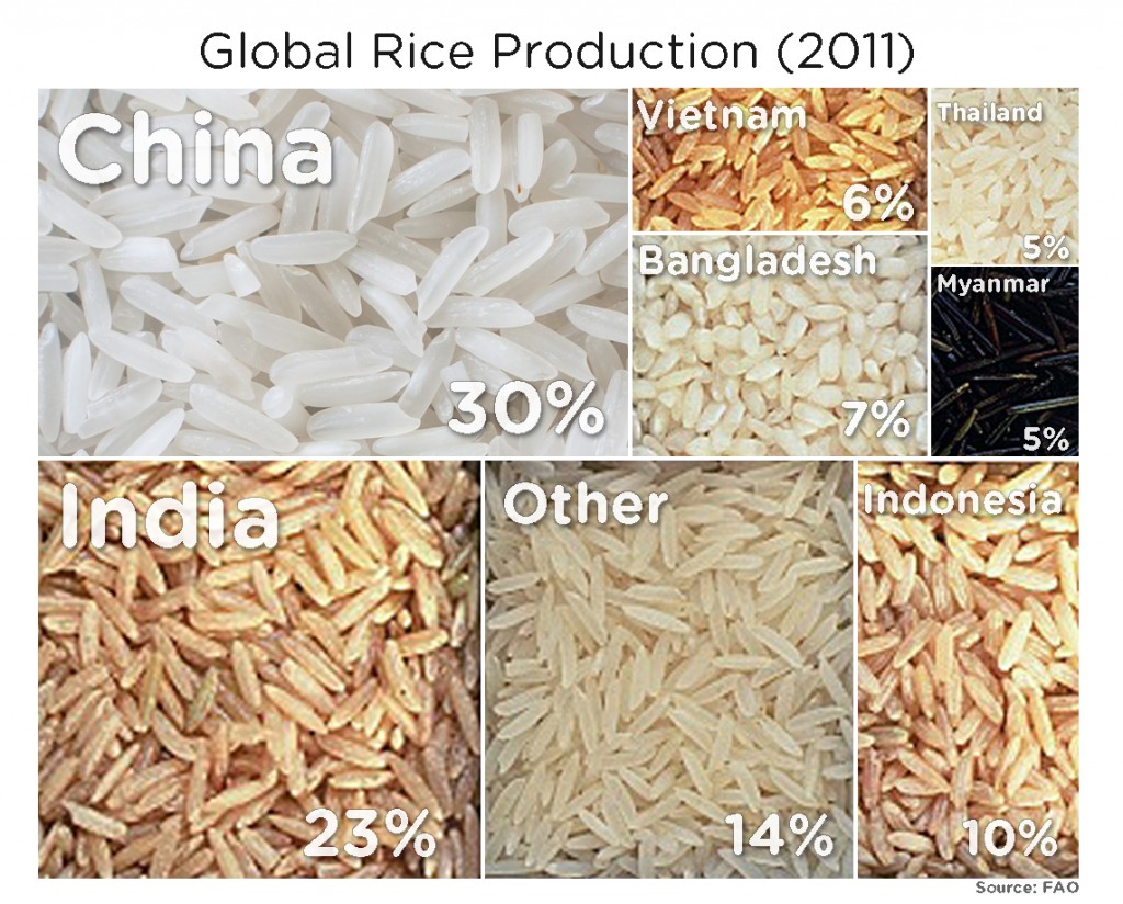 rice production