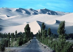 gobi20china-jj-001 (1)