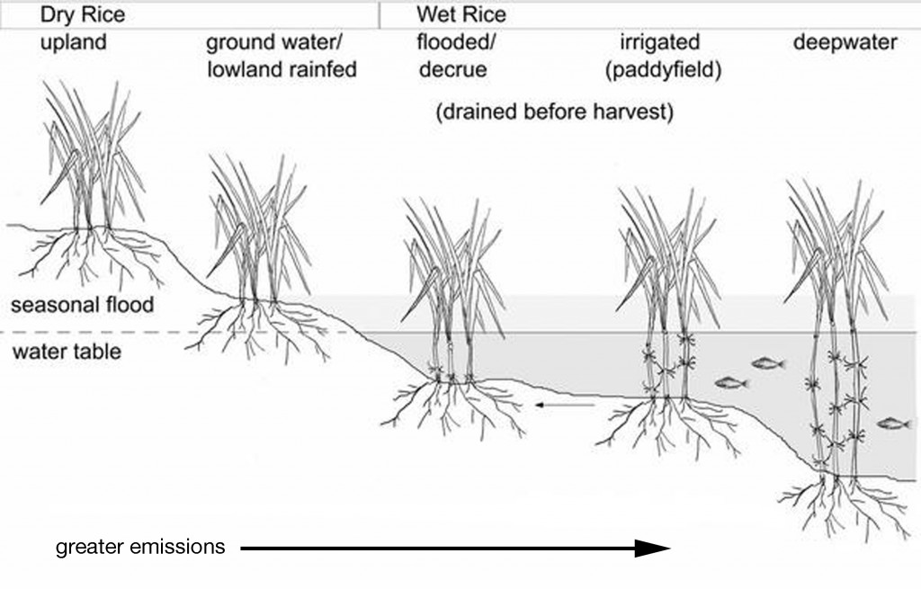 rice_ecological_spectrum