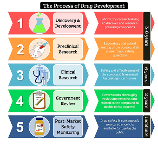 Drug Development Cycle