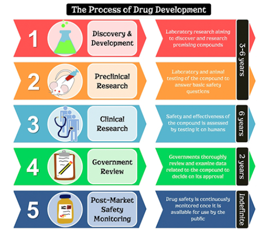 Drug Development Cycle A86