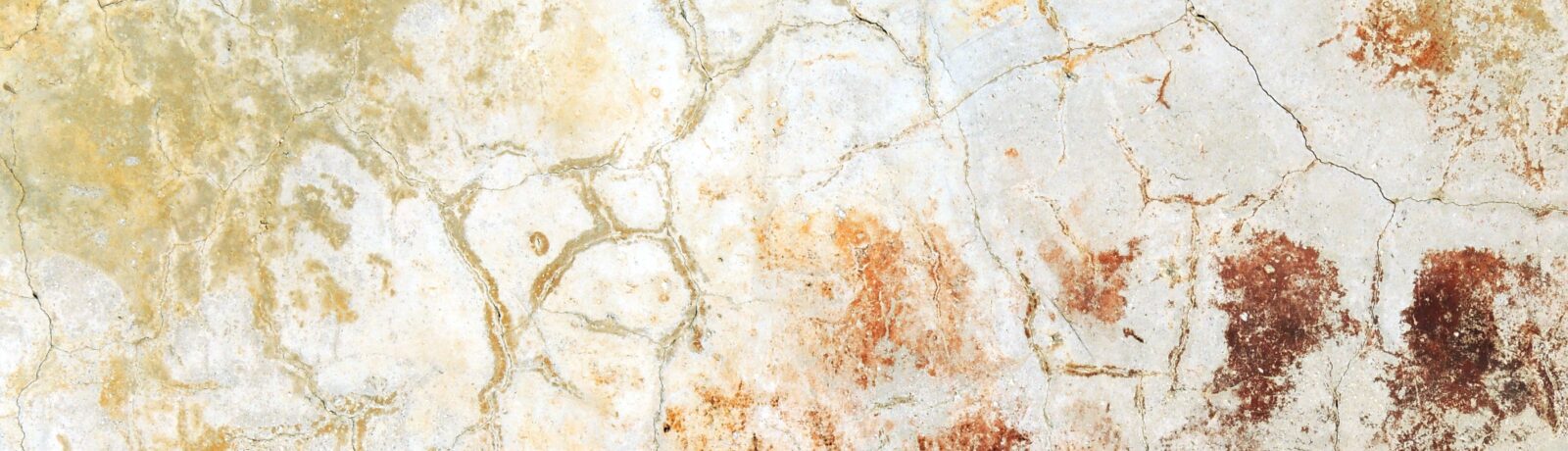 Critical Minerals and the Clean Energy Transition