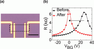 1.4891364.figures.online.f1