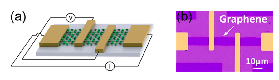 Silicene FET device.