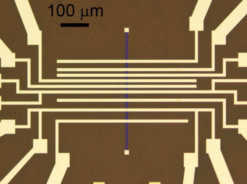 Silicene FET device.