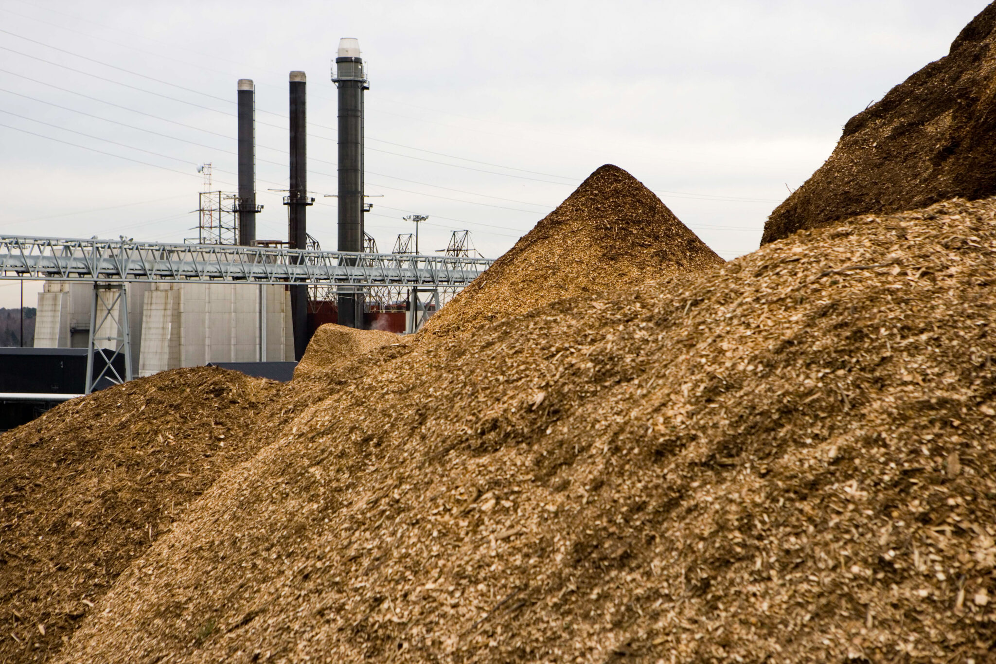 When Carbon neutral Is Not Environmentally Friendly