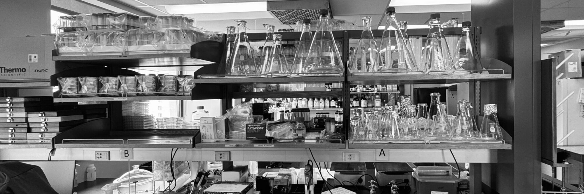 Black and white photo of lab with lab equipment organized neatly on shelves.