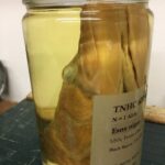 Chain pickerel from Cass County Texas