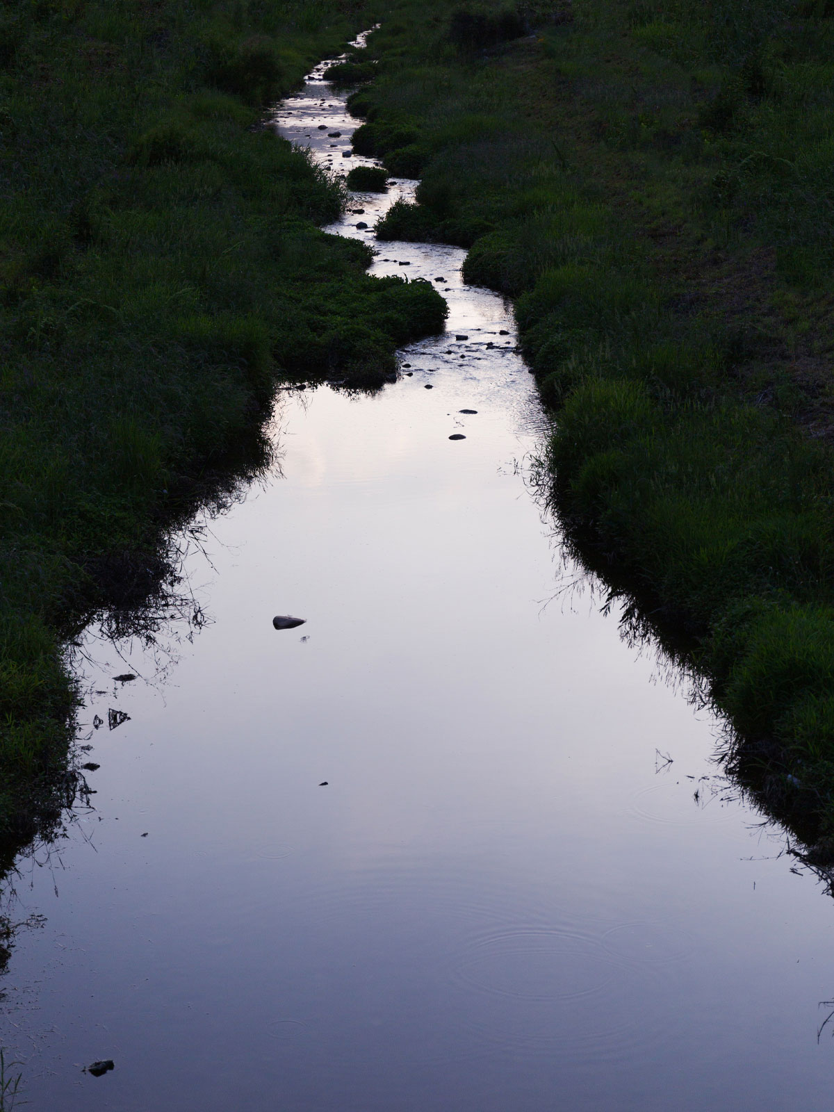 stream at dusk