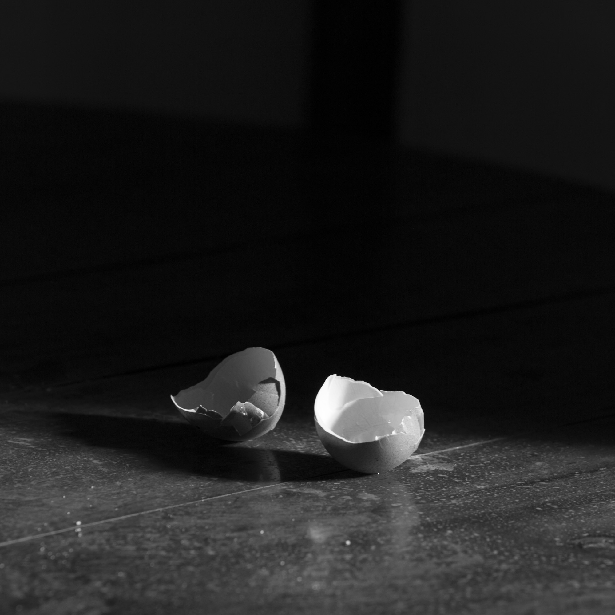 two halves of a broken eggshell sitting on table