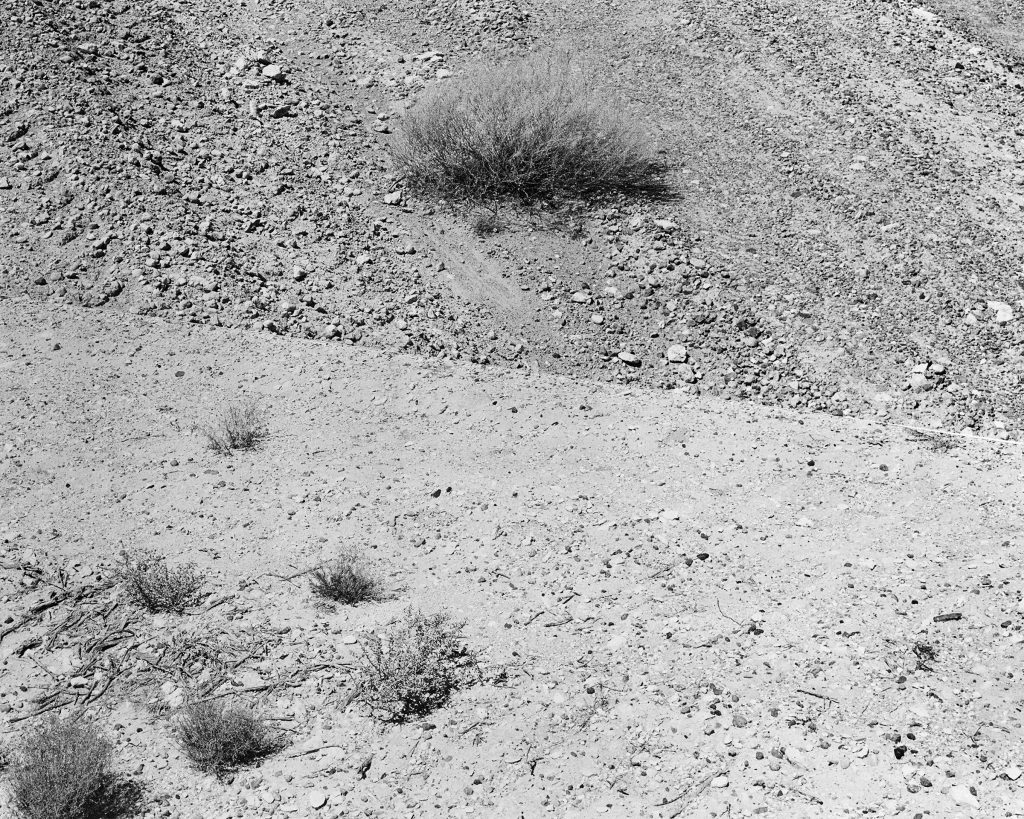 black and white image of dirt ground surface with tire tracks and small scrub plants