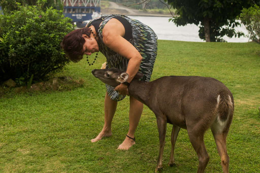 person petting animal that appears to be a deer in a park-like setting