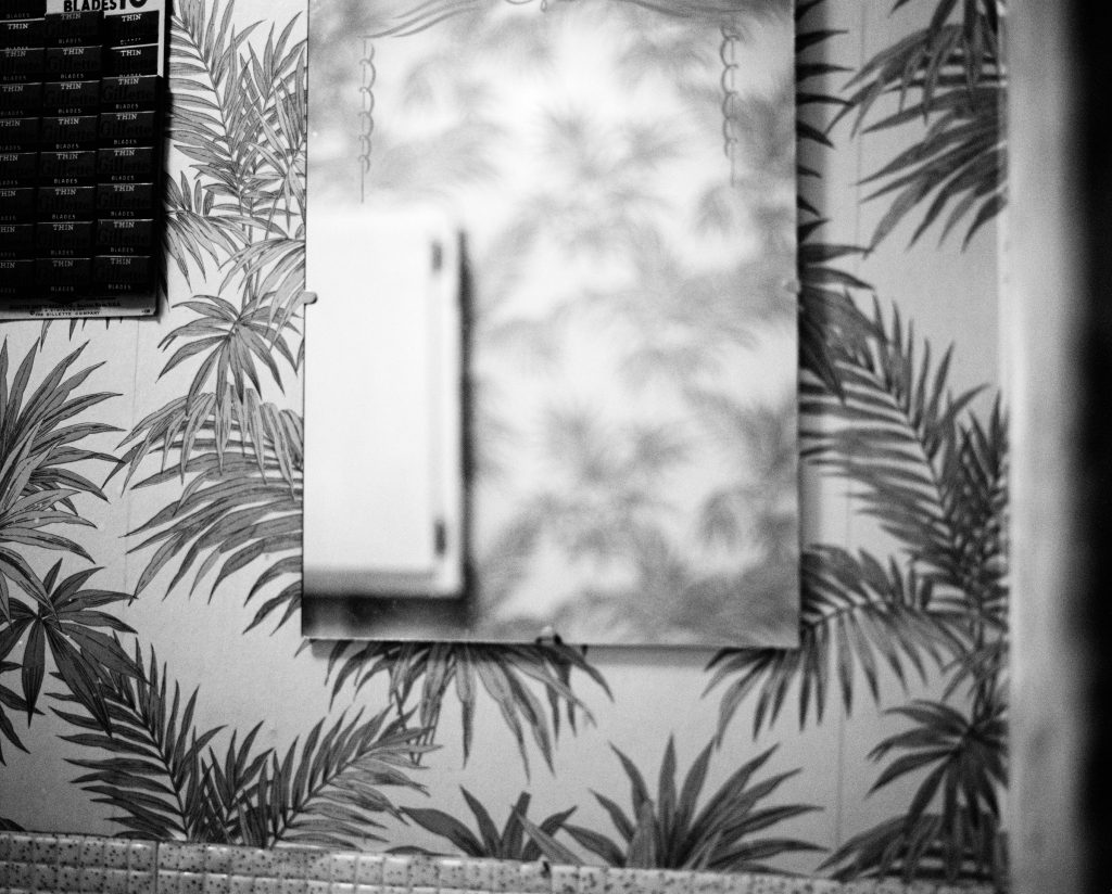 black and white image of mirror on wall with wallpaper that features palm fronds