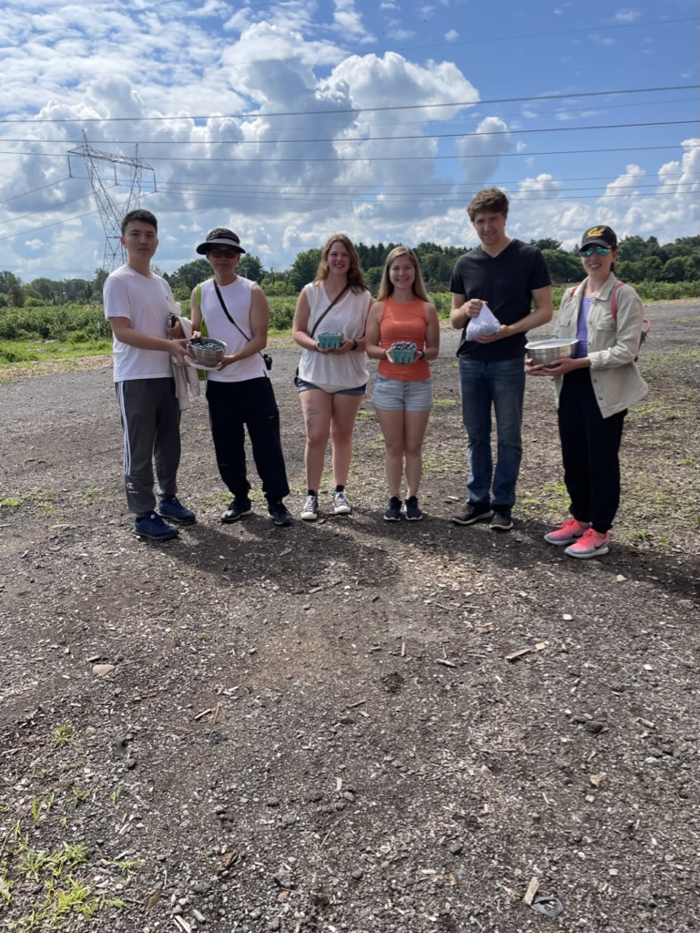 Lab Activity - Blueberry Picking