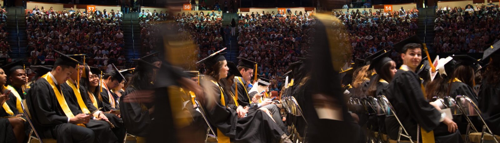 Pathways to Success – Undergraduate Programs