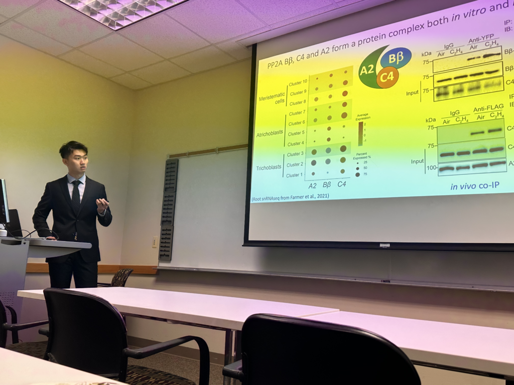 This image has an empty alt attribute; its file name is image-3-1024x768.png