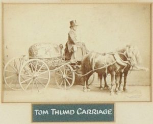 Tom Thumb’s Carriage Tom Thumb was one of several smaller-than-average platform performers who worked for Barnum, but he was by far the most famous. Born as Charles Sratton and later renamed General Tom Thumb at the age of 4 by Barnum, Thumb drew huge audiences with his impersonations of famous figures such as Napoleon. While the carriage in this picture is labeled as belonging to the famous dwarf, it may actually have been one of the accessories for his brother-in-law, Commodore Nutt.