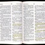 Highlighted passages from the King James Bible Robert De Niro used while preparing for his role as Max Cady in "Cape Fear."