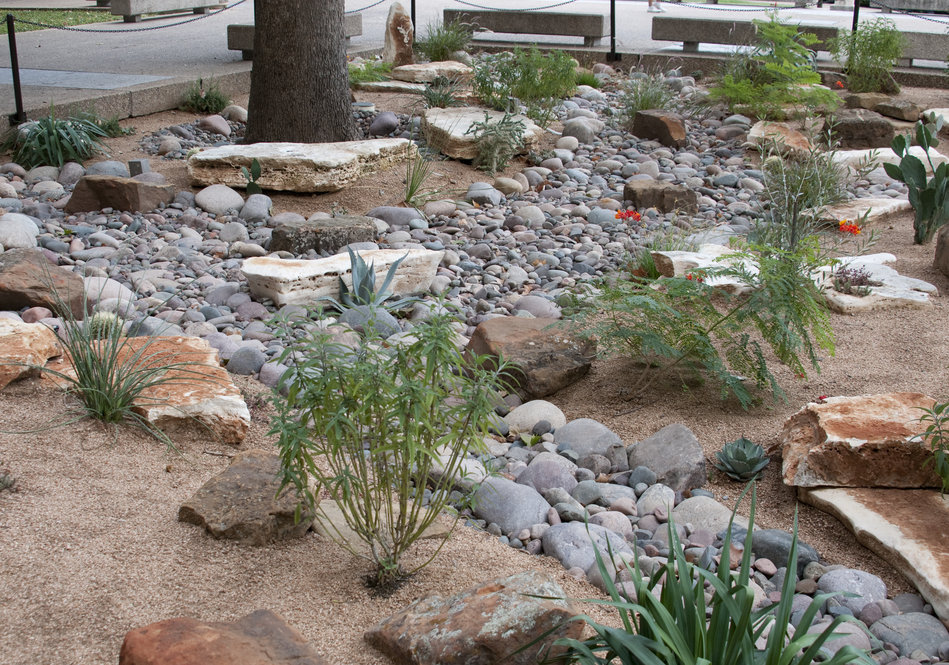 Xeriscaped plaza helps conserve water