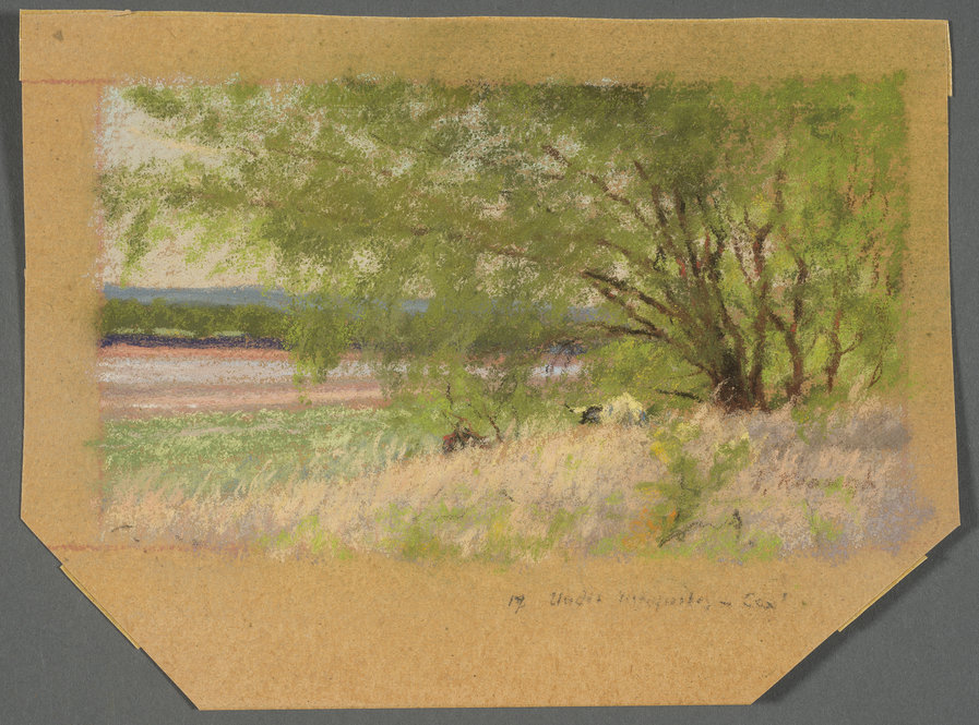 "Under Mesquites" by Frank Reaugh (1860-1945), showing an inscription in the margin. Photo by Pete Smith.