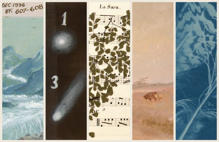 Norman O. Dawn, special effects card for Call of the Yukon, 1926; J. W. F. Herschel, Halley's Comet, 1836–7; Page from commonplace book owned by Edith May Southey Warter, undated; Frank Reaugh, Windy Day, painting: oil on canvas, 1900; Anna Atkins, Peacock Feathers, cyanotype, 1845.