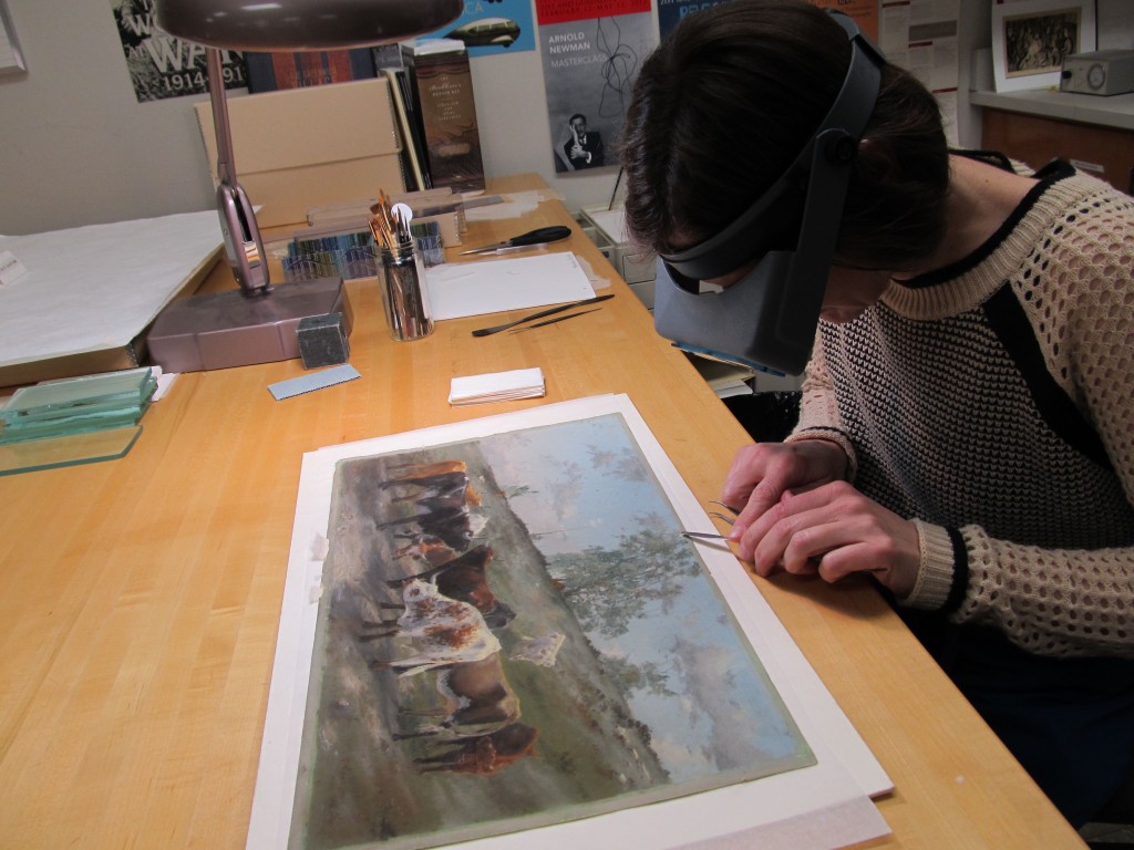 Heather Hamilton consolidates a pastel by Frank Reaugh titled 'Cattle Chewing Bones' for an upcoming exhibit. Photo by Kate Contakos.