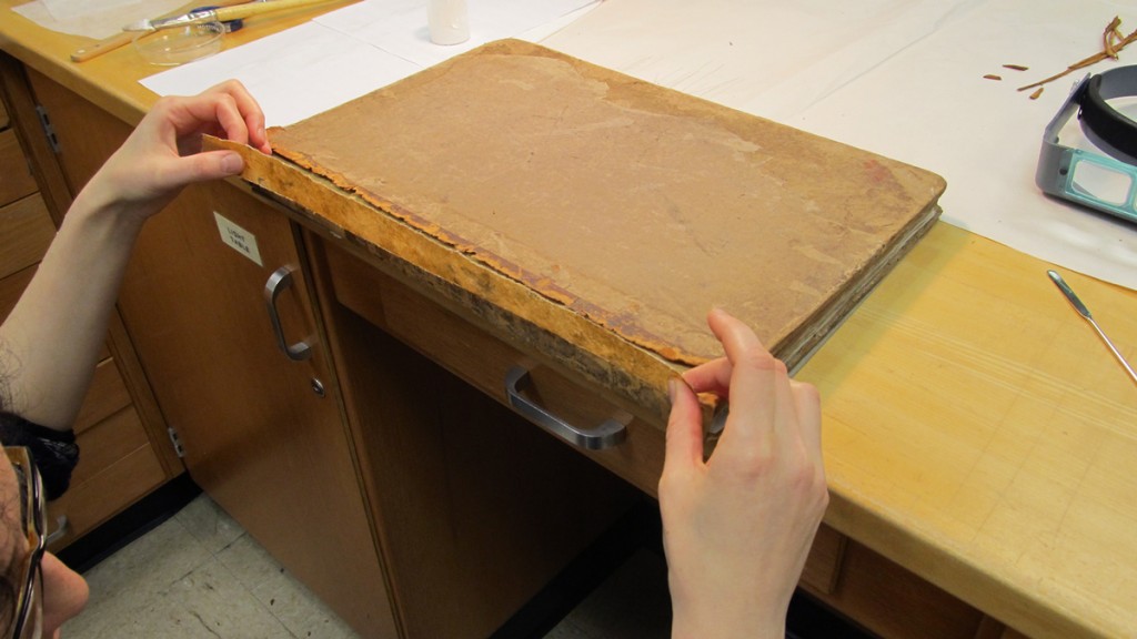 Filling areas of loss with the dyed Japanese paper.
