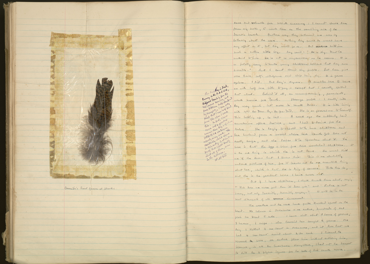 Pages from White’s 1939-1941 journal, with a feather from the first grouse killed by White’s hawk, Cressida.