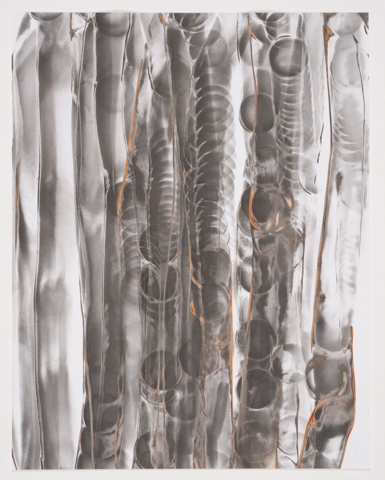 Marco Breuer, Untitled (Heat/Gun), 2000. Gelatin silver print, burned, 12.5 x 9.75 inches. © Marco Breuer.