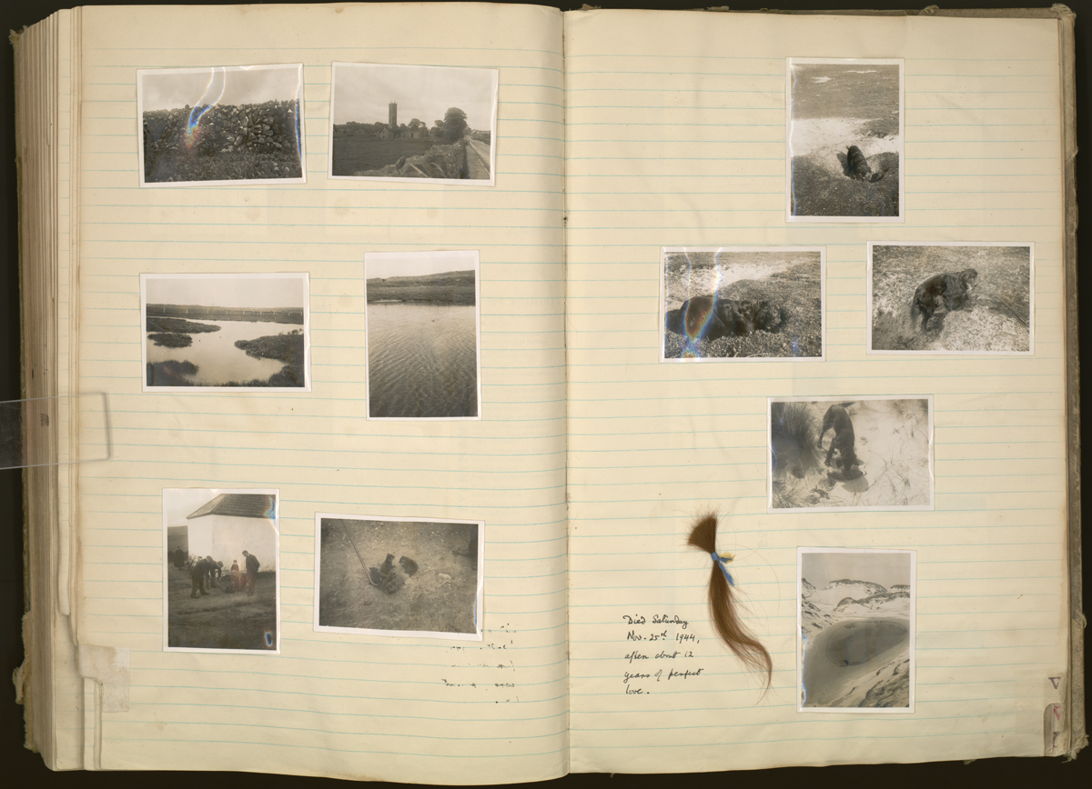 Pages from one of White’s extensive journals, featuring photographs of rural Ireland and a lock of hair from White’s deceased Irish Setter, Brownie (25 November, 1944).