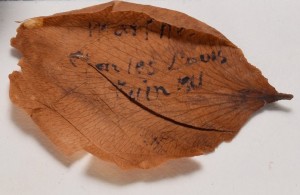 Flower petal restored to its open shape and inscription revealed.