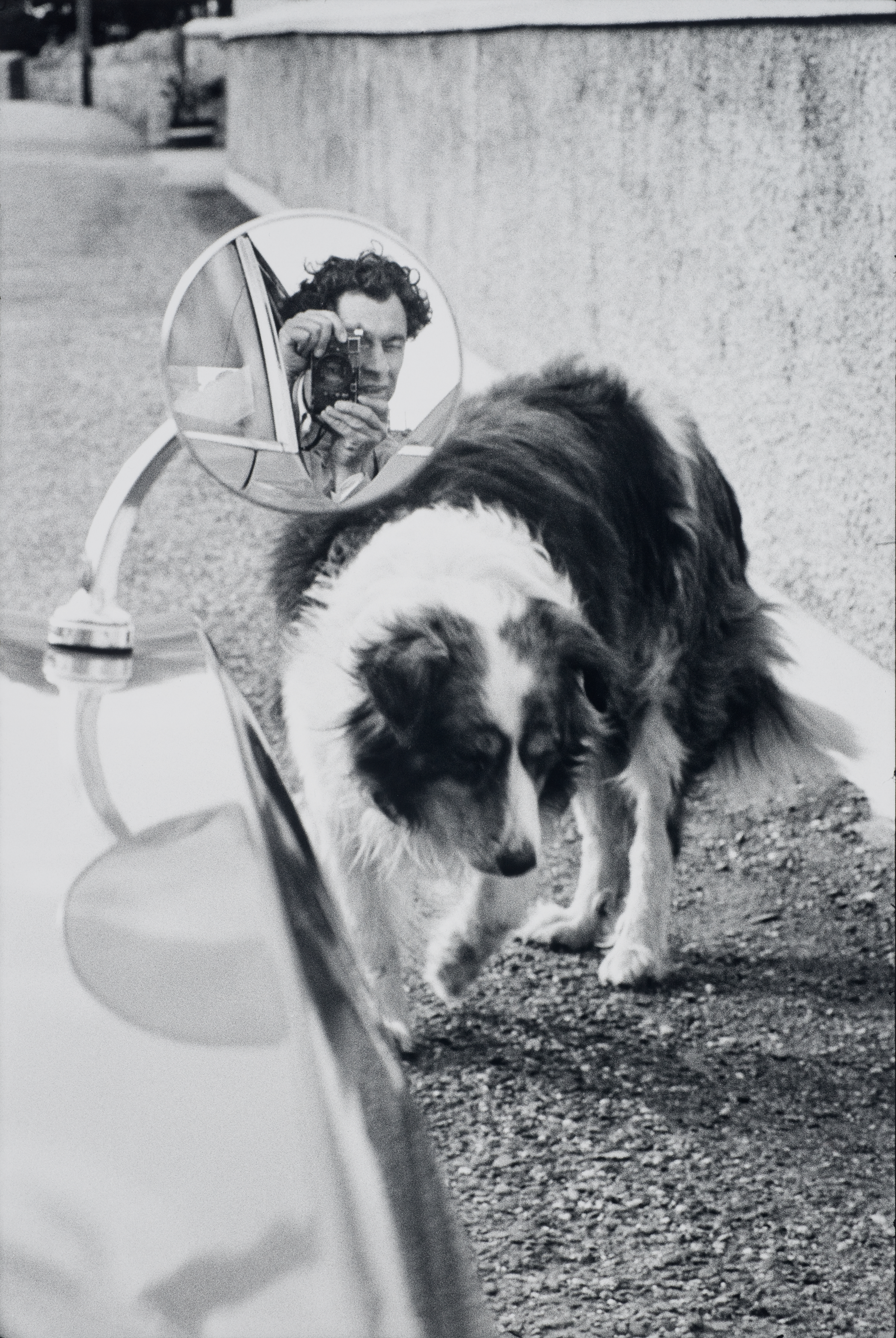 Elliott Erwitt (American, b. France 1928), Midleton, Ireland, 1970. Gelatin silver print, 30.5 x 20.4 cm. Harry Ransom Center Collection © Elliott Erwitt/Magnum Photos