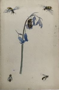 Front of card, sent D. H. Lawrence to Grace Crawford, December 23, 1909. Watercolor and pen on paper, 1909, D. H. Lawrence Collection, 33.2