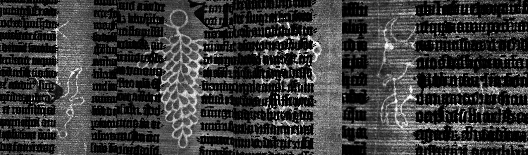 The four basic watermarks that appear in copies of the Gutenberg Bible. These photographs from the Ransom Center's copy were taken with the aid of transmitted light and have been edited to increase contrast.