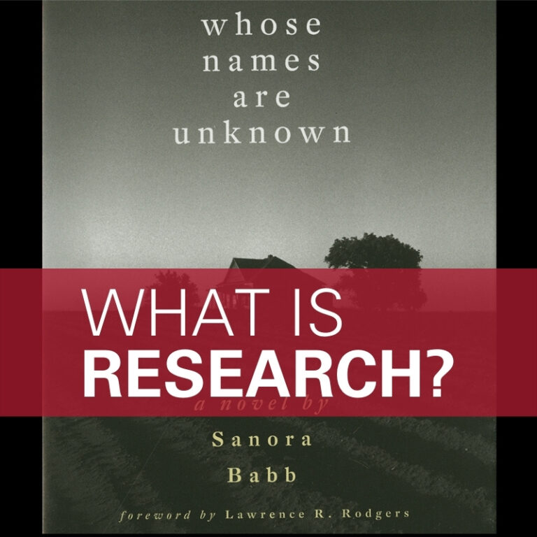 Babb book cover