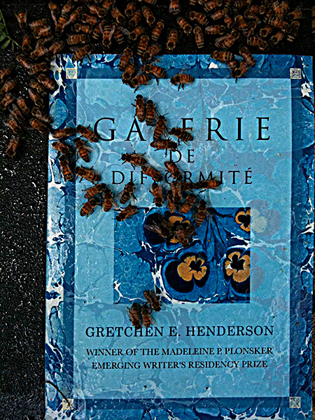 The cover of the printed book of Galerie de Difformité (Northwestern UP, 2011) reproduces flower-like marbled paper from the Newberry Library, here pollinated by bees at hives maintained by Jason Bennett, deformed/performed on grounds of Kenyon College’s Brown Family Environmental Center (2011).