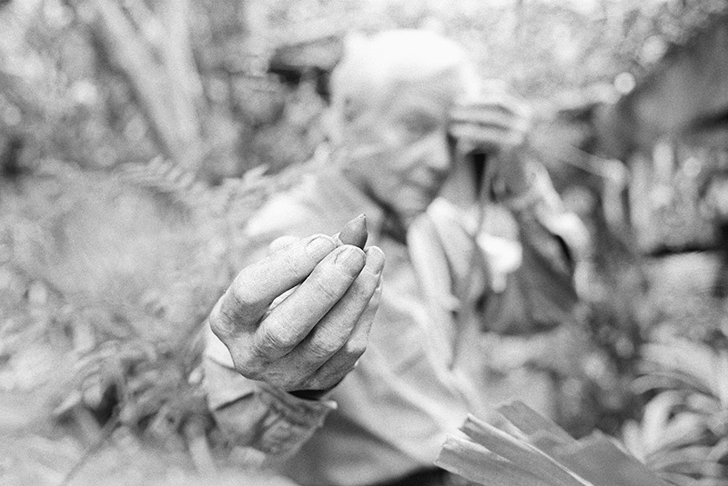 W. S. Merwin