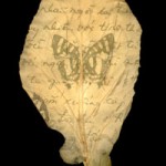 Untitled #6, from the Pulau Bidong series, 2003, chlorophyll print and resin. © Binh Danh.