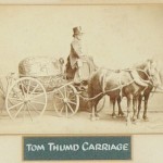 Tom Thumb’s Carriage Tom Thumb was one of several smaller-than-average platform performers who worked for Barnum, but he was by far the most famous. Born as Charles Sratton and later renamed General Tom Thumb at the age of 4 by Barnum, Thumb drew huge audiences with his impersonations of famous figures such as Napoleon. While the carriage in this picture is labeled as belonging to the famous dwarf, it may actually have been one of the accessories for his brother-in-law, Commodore Nutt.