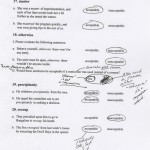 David Foster Wallace's "American Heritage Dictionary" usage ballot No. 13, page 5.