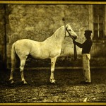 [Attributed to] John Stewart, "Man and Horse," ca. 1852. Positive waxed salted-paper print. 18.6 x 26.0 cm.