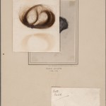 Hair sample (and obscured portrait) of John Keats. Photo by Pete Smith.
