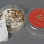 Plastic typewriter ribbon canister with dried seeds and petals and a scrap of paper, inscribed “Nicotinia 1983.” Photo by Anthony Maddaloni.