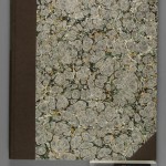 New cloth and marbled paper cover for book. The cover style imitates the original binding. Cloth was chosen because it is a durable material.